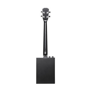 J.N.Guitars CASK-PUNCHCOAL