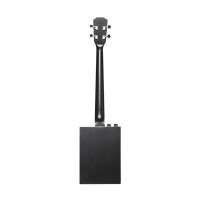 J.N.Guitars CASK-PUNCHCOAL