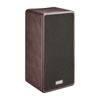 Laney A-DUO Akustik Verstärker