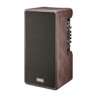 Laney A-DUO Akustik Verstärker