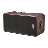 Laney A-DUO Akustik Verstärker