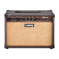 Laney LA30D Akustik Verstärker