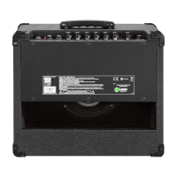 Laney LG20R Verstärker