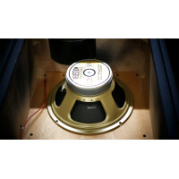 Laney LT212 5