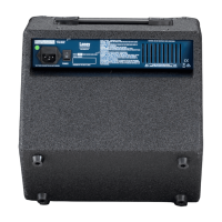 Laney RB1 Verstärker