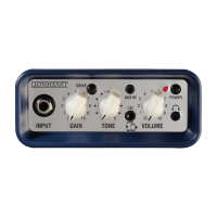 Laney MINI-LION Verstärker