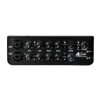 Laney A-SOLO Akustik Verstärker