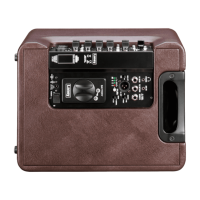 Laney A-FRESCO 2 Akustik Verstärker