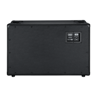 Laney GS212IE Verstärker