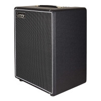 Laney DB200-210 6