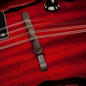 Stagg M50 E mandolin