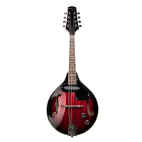 Stagg M50 E mandolin