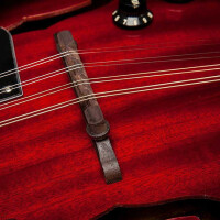 Stagg M50 E mandolin