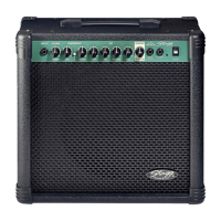 Stagg 40 GA R EU Verstärker