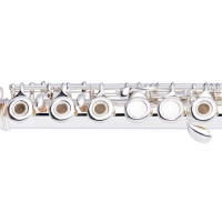 Stagg WS-FL251S Querflöte