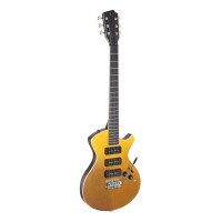 Stagg SVY NASHDLX FSB