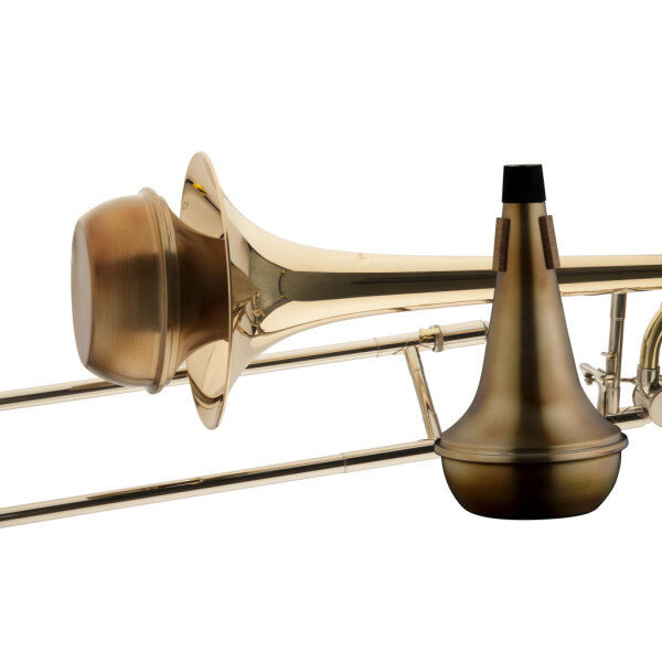 Stagg MTB-S3AV shock