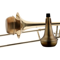 Stagg MTB-S3AV shock