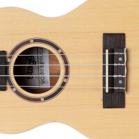 Stagg UC-30 SPRUCE