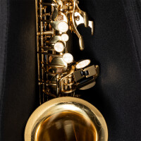 Stagg SB-AS-BK bag alto saxophone
