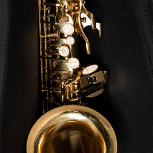 Stagg SB-AS-GY Tasche für Saxophon