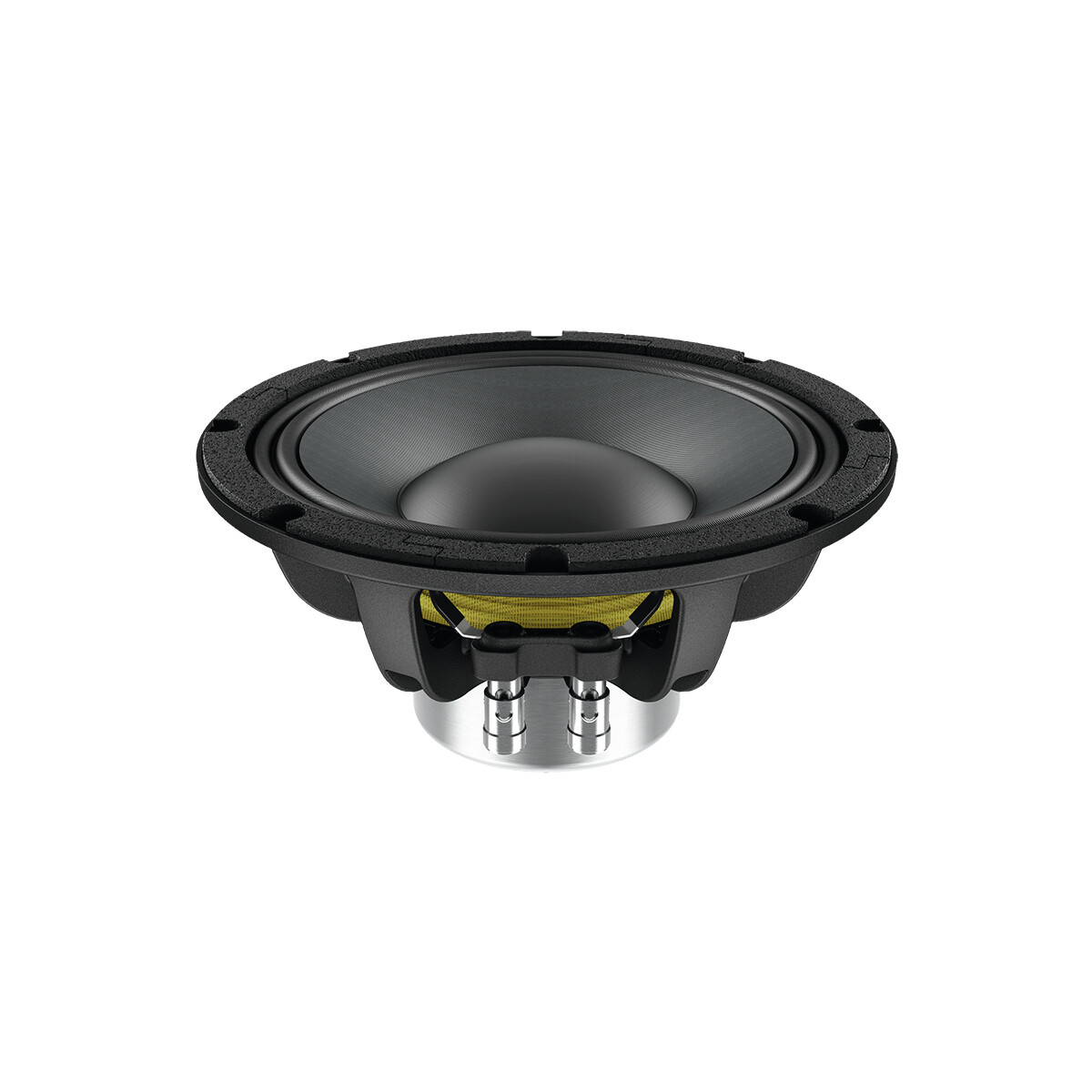 Lavoce WAN082.50 8" Woofer, Neodym, box