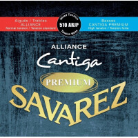 Savarez Alliance Cantiga Pre 510ARJP