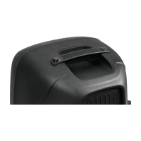 Omnitronic VFM-210AP