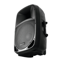 Omnitronic VFM-215AP