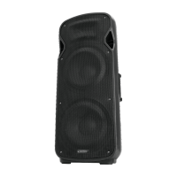 Omnitronic VFM-2215AP