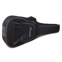 Viper guitar gig bag