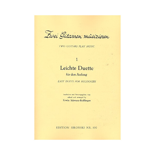 Zwei Gitarren musizieren