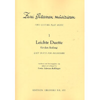 Zwei Gitarren musizieren