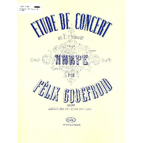 Etude de concert en mi b mineur op.193