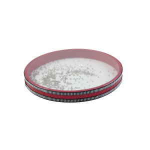 Dimavery Ocean Drum, small