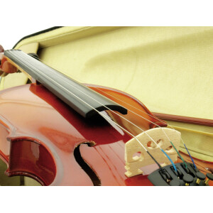 Dimavery violin 4/4 with bow, in case