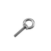 Accessory eyebolt M10/50mm, stainless steel