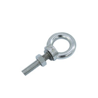 Accessory eyebolt M8/30mm, stainless steel