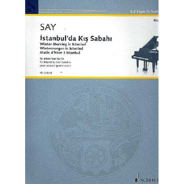 Wintermorgen in Istanbul