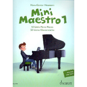 Mini Maestro Band 1