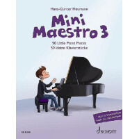 Mini Maestro Band 3
