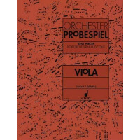 Orchesterprobespiel Viola