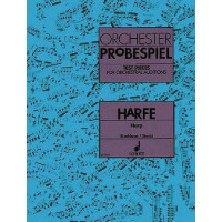 Orchester Probespiel Harfe