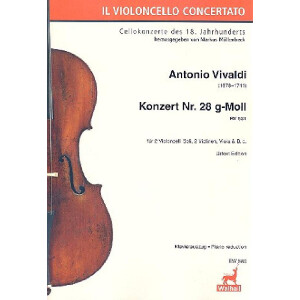 Konzert g-Moll Nr.28 RV531