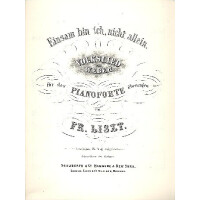 Einsam bin ich nicht allein für Klavier