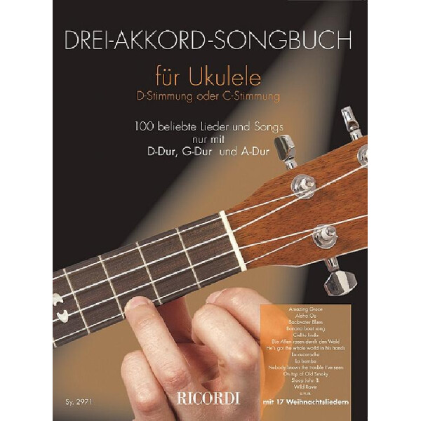 Drei-Akkord-Songbuch