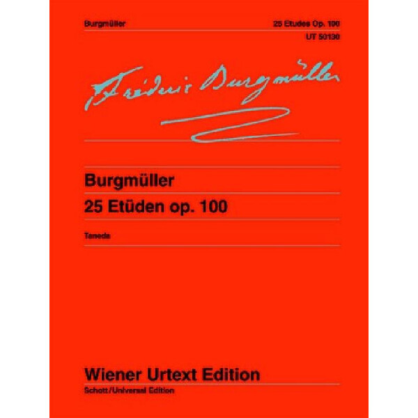 25 Etüden op.100