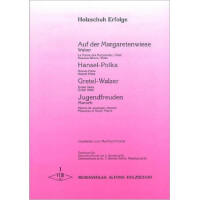 Holzschuh-Erfolge Band 1 für