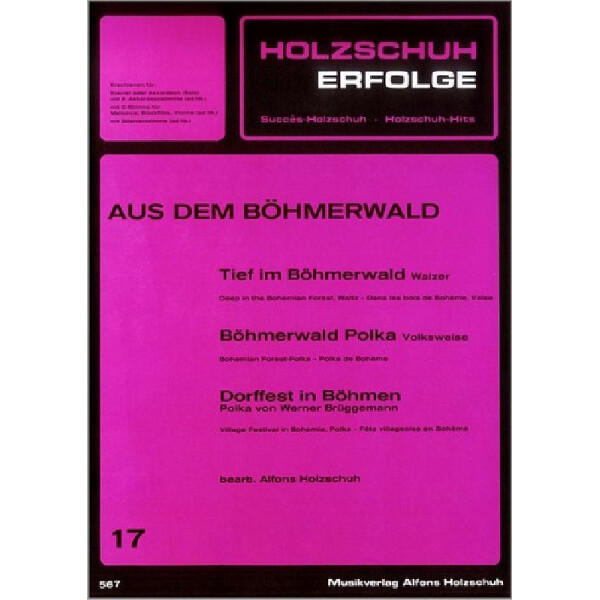 Holzschuh-Erfolge Band 17 für