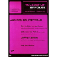 Holzschuh-Erfolge Band 17 für